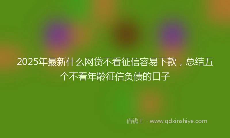 2025年最新什么网贷不看征信容易下款，总结五个不看年龄征信负债的口子