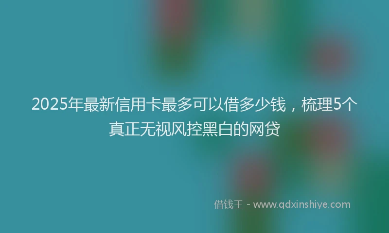 2025年最新信用卡最多可以借多少钱，梳理5个真正无视风控黑白的网贷