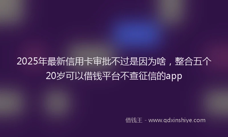 2025年最新信用卡审批不过是因为啥，整合五个20岁可以借钱平台不查征信的app