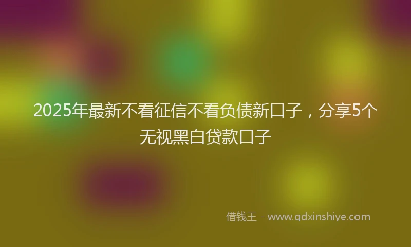 2025年最新不看征信不看负债新口子，分享5个无视黑白贷款口子