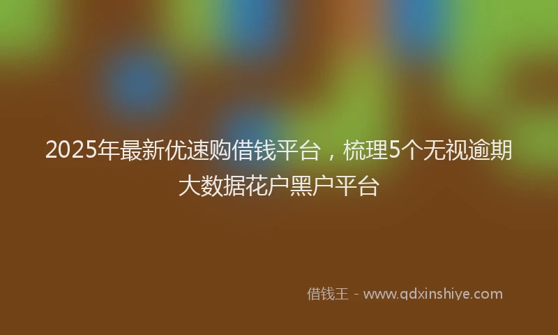 2025年最新优速购借钱平台，梳理5个无视逾期大数据花户黑户平台