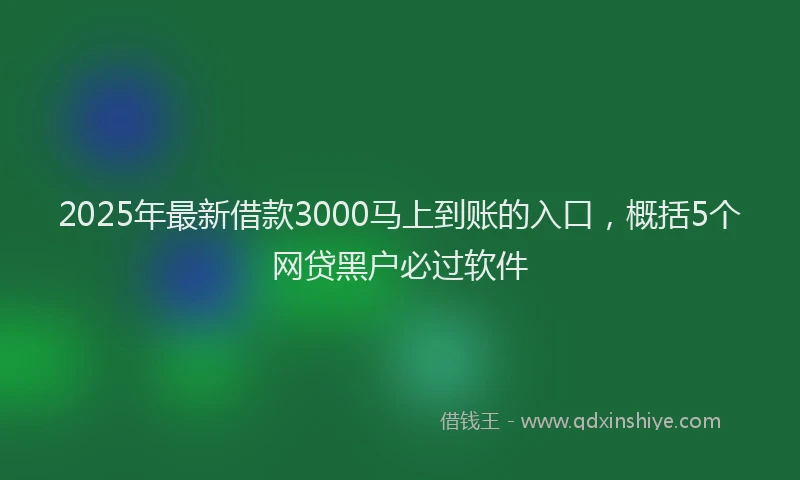 2025年最新借款3000马上到账的入口，概括5个网贷黑户必过软件
