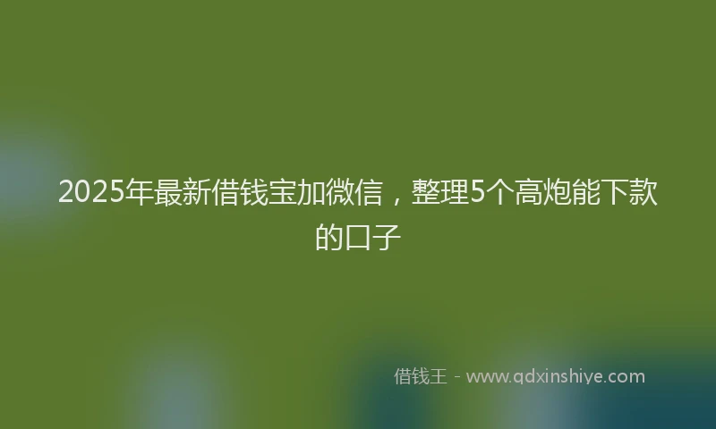 2025年最新借钱宝加微信，整理5个高炮能下款的口子