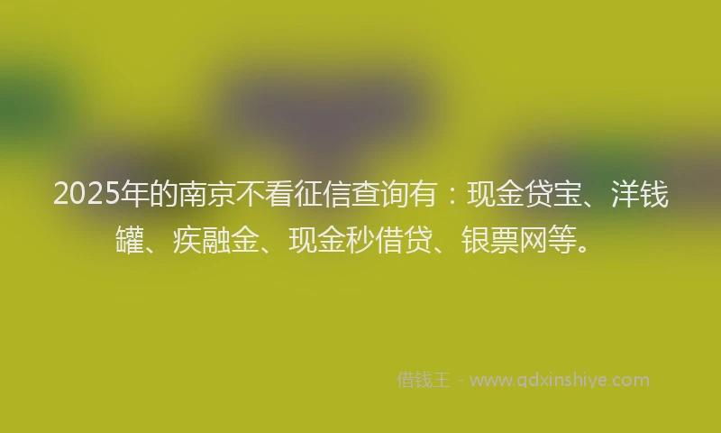 2025年的南京不看征信查询有：现金贷宝、洋钱罐、疾融金、现金秒借贷、银票网等。