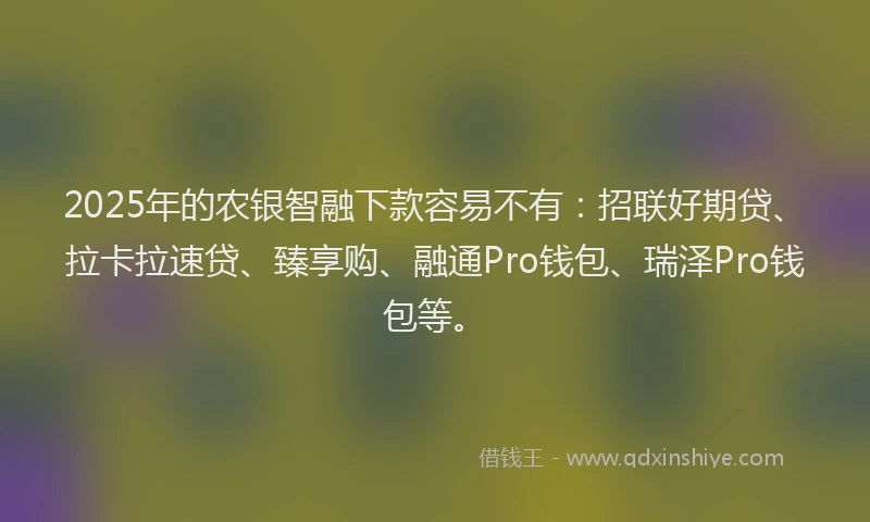 2025年的农银智融下款容易不有：招联好期贷、拉卡拉速贷、臻享购、融通Pro钱包、瑞泽Pro钱包等。