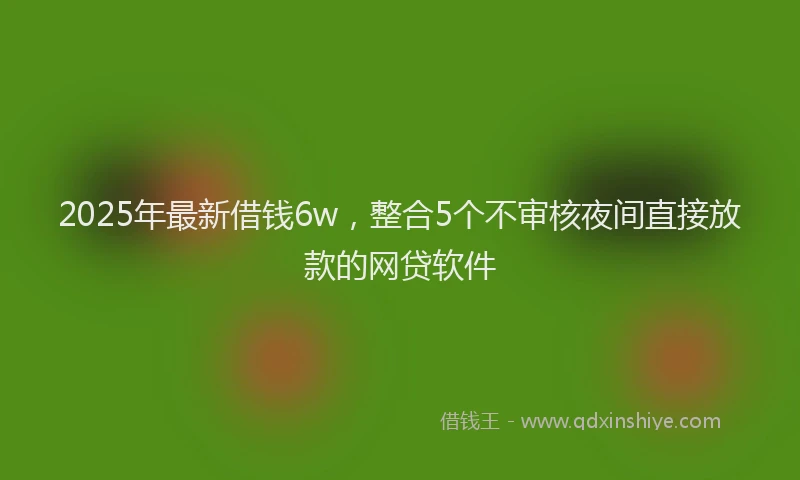 2025年最新借钱6w，整合5个不审核夜间直接放款的网贷软件
