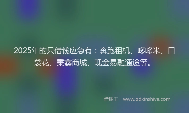 2025年的只借钱应急有:奔跑租机、哆哆米、口袋花、秉鑫商城、现金易融通途等。