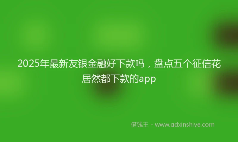 2025年最新友银金融好下款吗，盘点五个征信花居然都下款的app