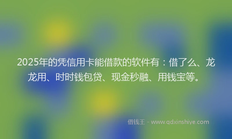 2025年的凭信用卡能借款的软件有：借了么、龙龙用、时时钱包贷、现金秒融、用钱宝等。