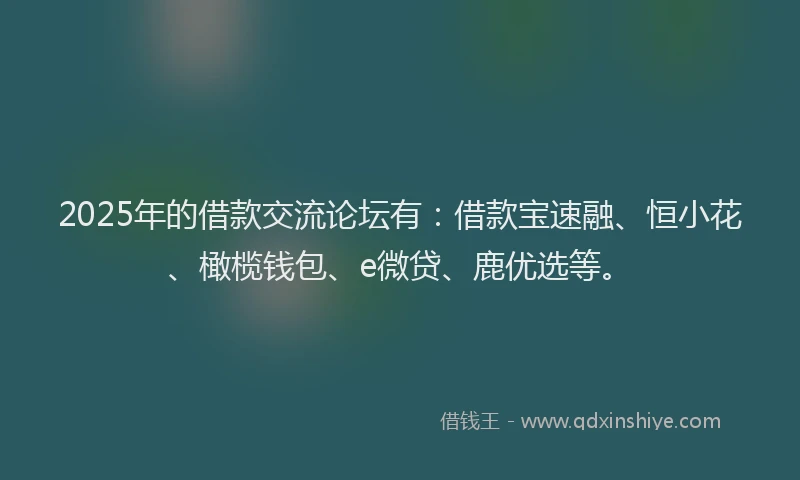 2025年的借款交流论坛有：借款宝速融、恒小花、橄榄钱包、e微贷、鹿优选等。