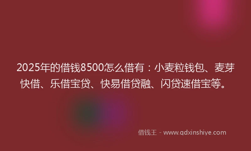 2025年的借钱8500怎么借有：小麦粒钱包、麦芽快借、乐借宝贷、快易借贷融、闪贷速借宝等。