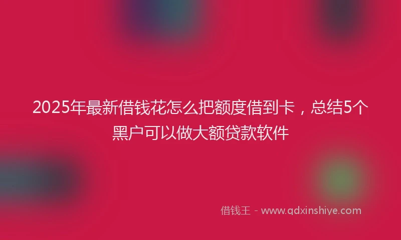 2025年最新借钱花怎么把额度借到卡，总结5个黑户可以做大额贷款软件