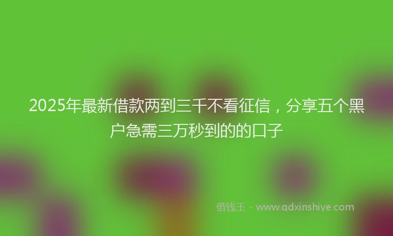 2025年最新借款两到三千不看征信，分享五个黑户急需三万秒到的的口子