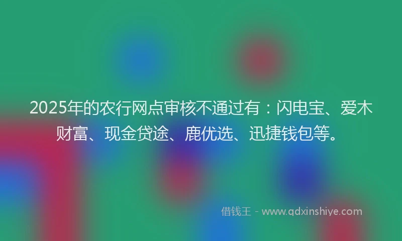 2025年的农行网点审核不通过有：闪电宝、爱木财富、现金贷途、鹿优选、迅捷钱包等。