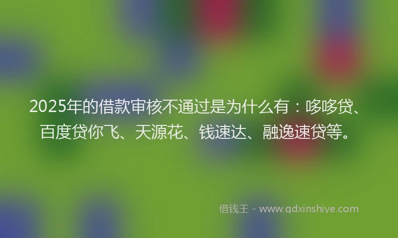 2025年的借款审核不通过是为什么有：哆哆贷、百度贷你飞、天源花、钱速达、融逸速贷等。