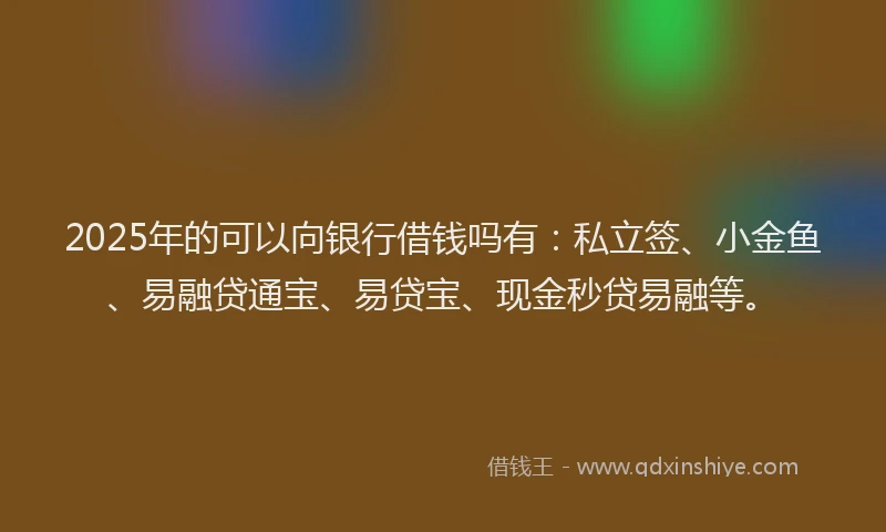 2025年的可以向银行借钱吗有：私立签、小金鱼、易融贷通宝、易贷宝、现金秒贷易融等。