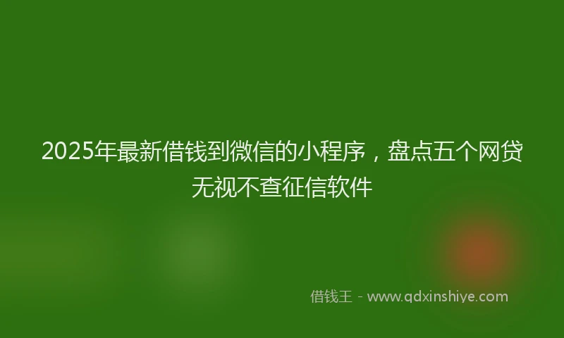 2025年最新借钱到微信的小程序，盘点五个网贷无视不查征信软件