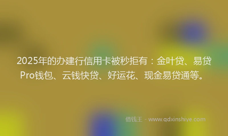 2025年的办建行信用卡被秒拒有：金叶贷、易贷Pro钱包、云钱快贷、好运花、现金易贷通等。