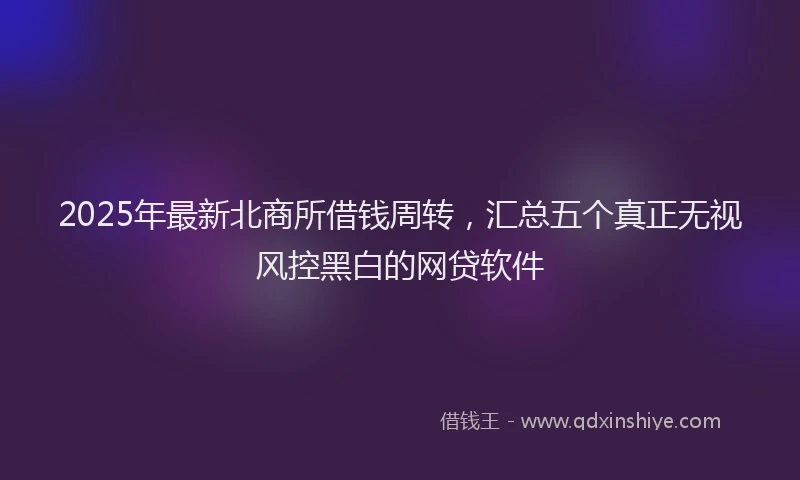 2025年最新北商所借钱周转，汇总五个真正无视风控黑白的网贷软件