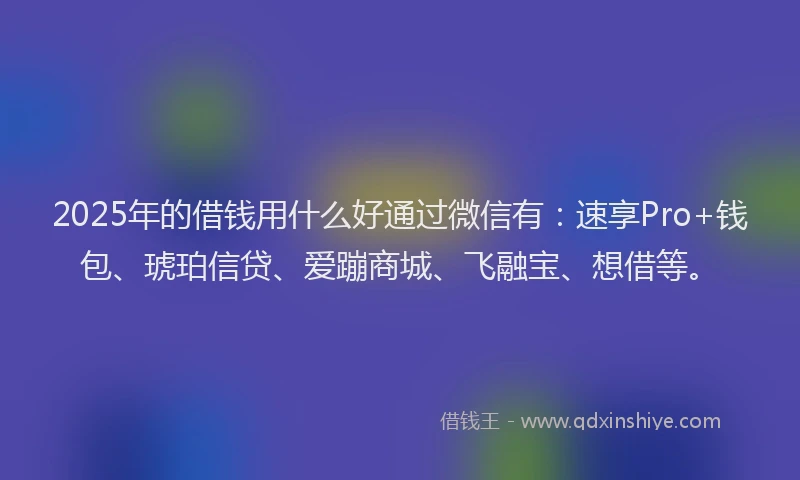 2025年的借钱用什么好通过微信有：速享Pro+钱包、琥珀信贷、爱蹦商城、飞融宝、想借等。