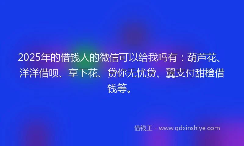 2025年的借钱人的微信可以给我吗有：葫芦花、洋洋借呗、享下花、贷你无忧贷、翼支付甜橙借钱等。