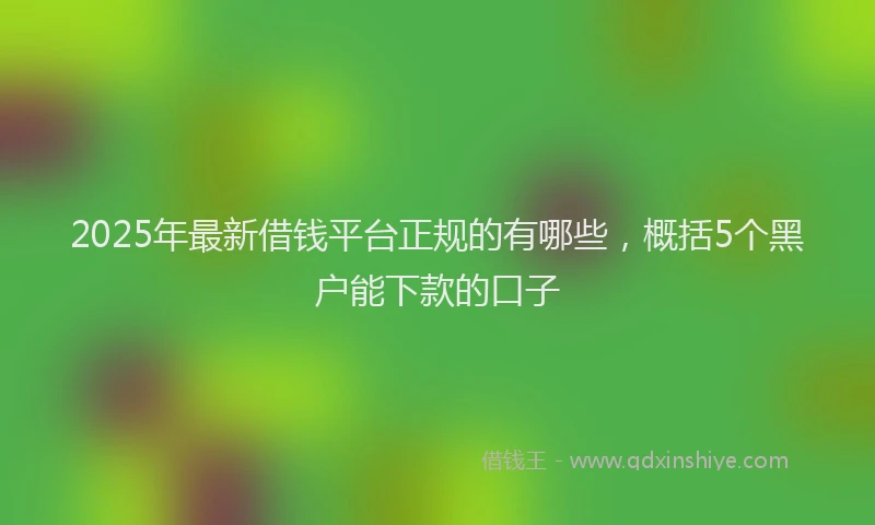 2025年最新借钱平台正规的有哪些，概括5个黑户能下款的口子