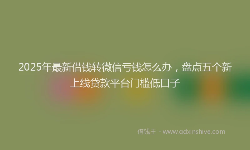 2025年最新借钱转微信亏钱怎么办，盘点五个新上线贷款平台门槛低口子