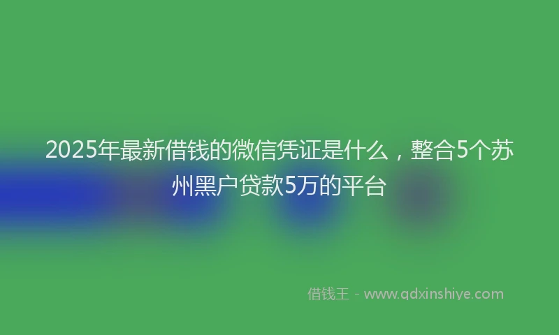 2025年最新借钱的微信凭证是什么，整合5个苏州黑户贷款5万的平台