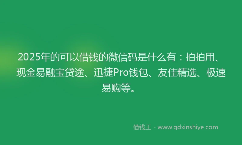 2025年的可以借钱的微信码是什么有:拍拍用、现金易融宝贷途、迅捷Pro钱包、友佳精选、极速易购等。