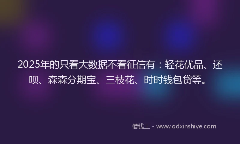 2025年的只看大数据不看征信有：轻花优品、还呗、森森分期宝、三枝花、时时钱包贷等。