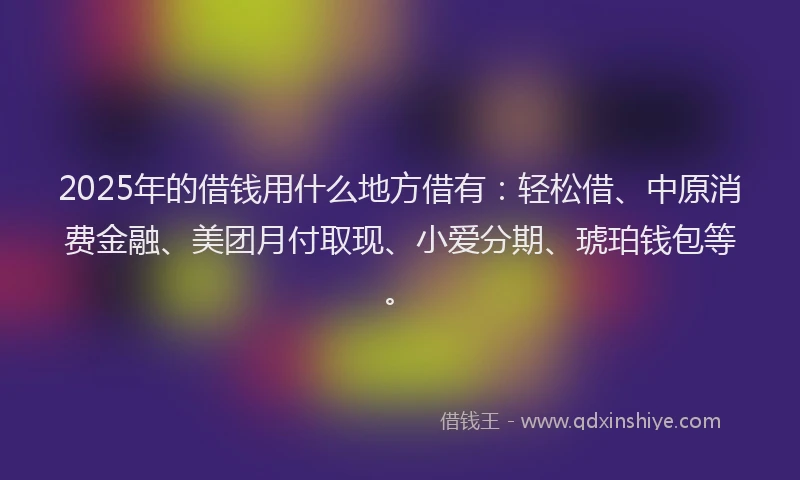 2025年的借钱用什么地方借有：轻松借、中原消费金融、美团月付取现、小爱分期、琥珀钱包等。