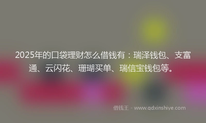 2025年的口袋理财怎么借钱有：瑞泽钱包、支富通、云闪花、珊瑚买单、瑞信宝钱包等。