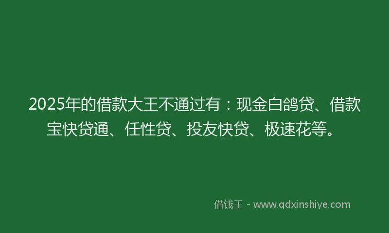 2025年的借款大王不通过有：现金白鸽贷、借款宝快贷通、任性贷、投友快贷、极速花等。