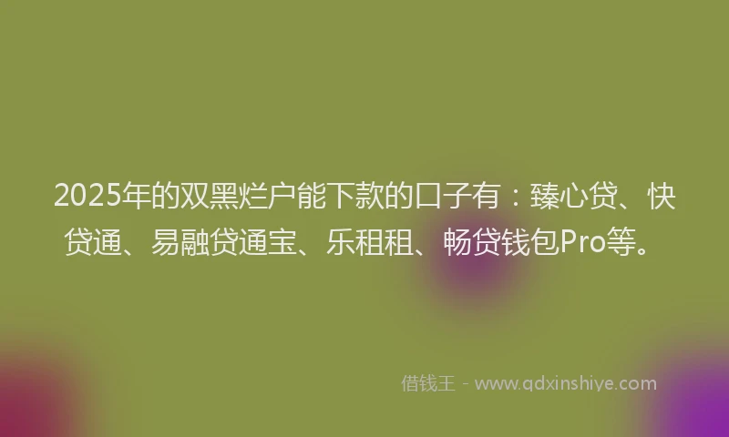 2025年的双黑烂户能下款的口子有：臻心贷、快贷通、易融贷通宝、乐租租、畅贷钱包Pro等。