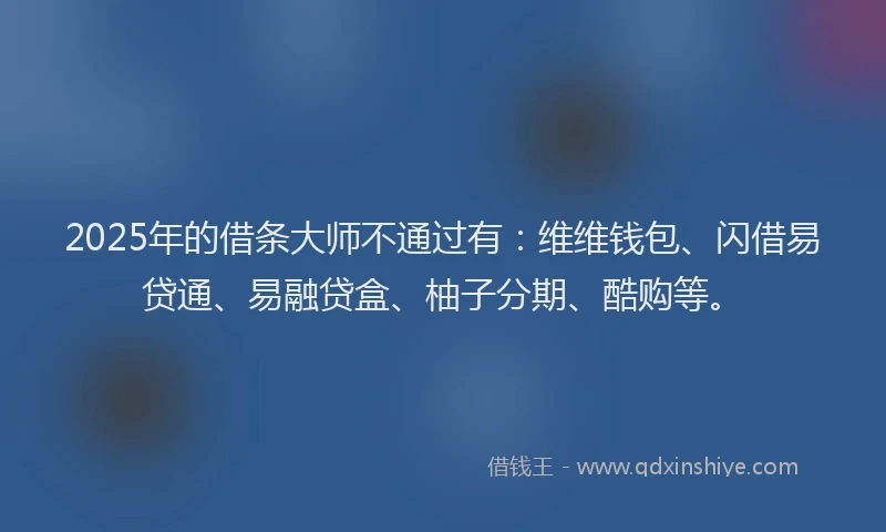 2025年的借条大师不通过有：维维钱包、闪借易贷通、易融贷盒、柚子分期、酷购等。
