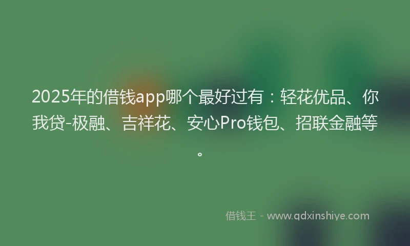 2025年的借钱app哪个最好过有：轻花优品、你我贷-极融、吉祥花、安心Pro钱包、招联金融等。