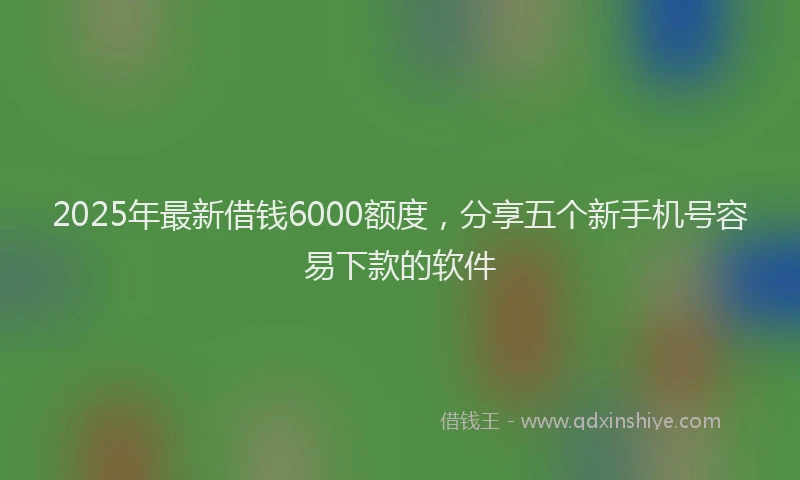 2025年最新借钱6000额度，分享五个新手机号容易下款的软件