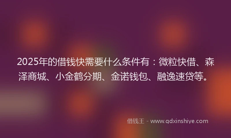 2025年的借钱快需要什么条件有:微粒快借、森泽商城、小金鹤分期、金诺钱包、融逸速贷等。