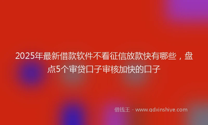2025年最新借款软件不看征信放款快有哪些，盘点5个审贷口子审核加快的口子