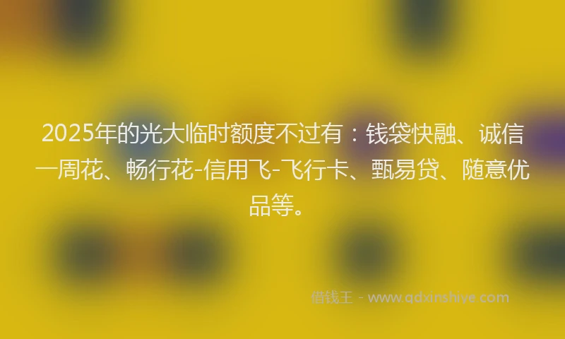 2025年的光大临时额度不过有：钱袋快融、诚信一周花、畅行花-信用飞-飞行卡、甄易贷、随意优品等。