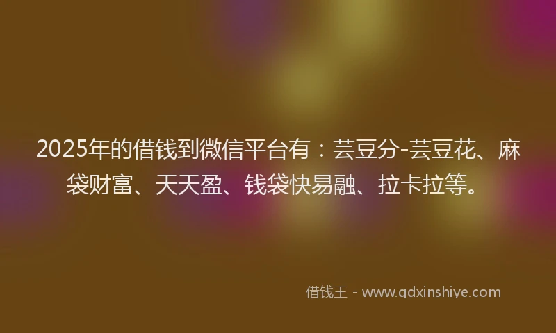 2025年的借钱到微信平台有：芸豆分-芸豆花、麻袋财富、天天盈、钱袋快易融、拉卡拉等。