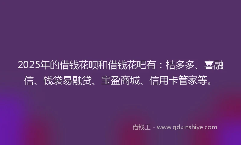 2025年的借钱花呗和借钱花吧有：桔多多、喜融信、钱袋易融贷、宝盈商城、信用卡管家等。