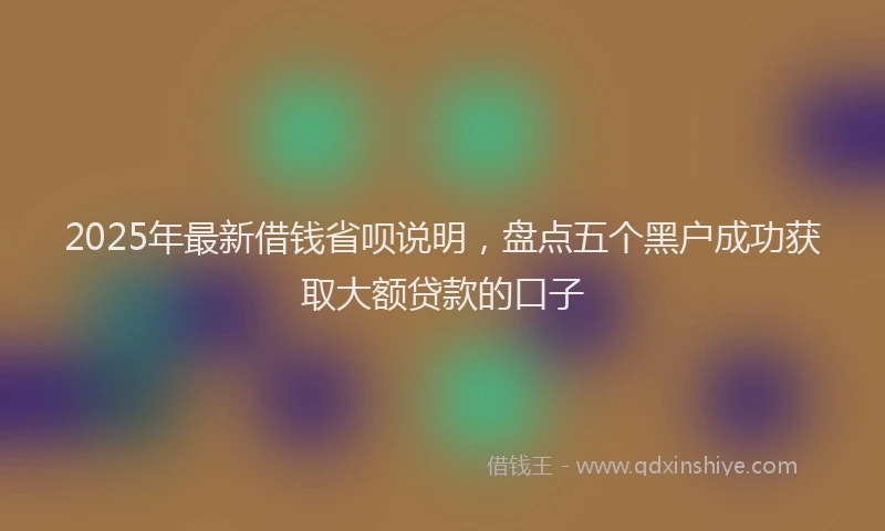 2025年最新借钱省呗说明，盘点五个黑户成功获取大额贷款的口子