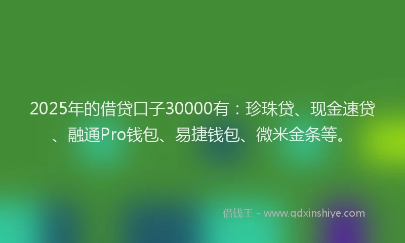 2025年的借贷口子30000有：珍珠贷、现金速贷、融通Pro钱包、易捷钱包、微米金条等。