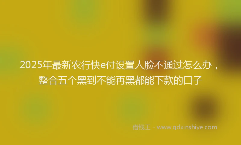 2025年最新农行快e付设置人脸不通过怎么办，整合五个黑到不能再黑都能下款的口子