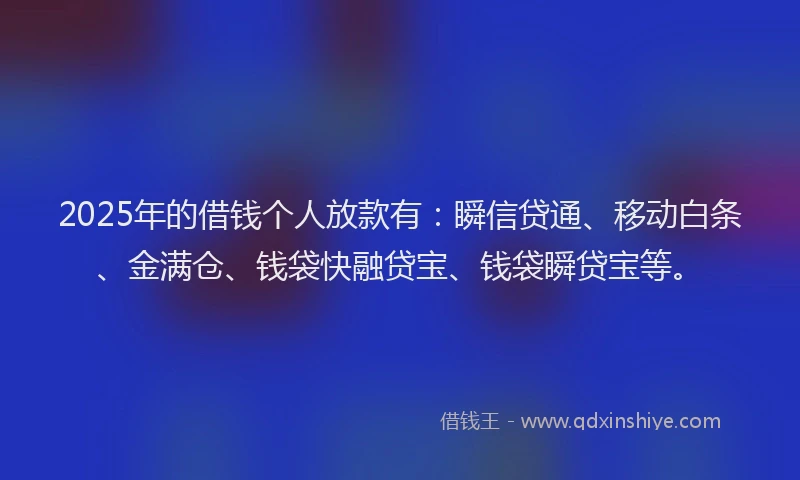 2025年的借钱个人放款有：瞬信贷通、移动白条、金满仓、钱袋快融贷宝、钱袋瞬贷宝等。