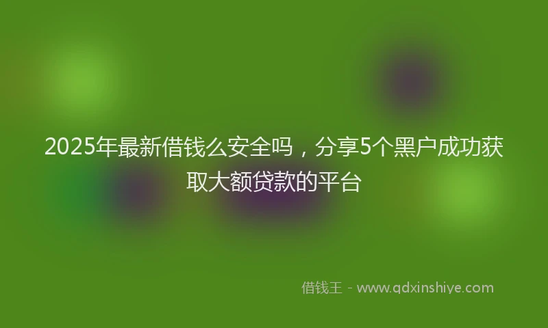 2025年最新借钱么安全吗，分享5个黑户成功获取大额贷款的平台