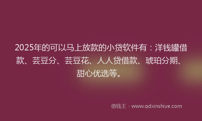 2025年的可以马上放款的小贷软件有：洋钱罐借款、芸豆分、芸豆花、人人贷借款、琥珀分期、甜心优选等。