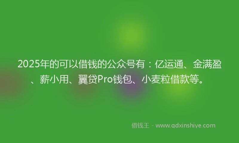 2025年的可以借钱的公众号有：亿运通、金满盈、薪小用、翼贷Pro钱包、小麦粒借款等。