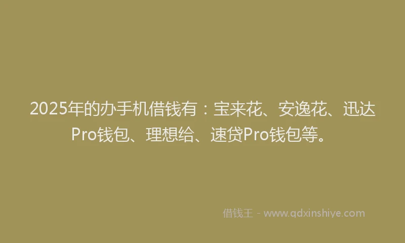 2025年的办手机借钱有：宝来花、安逸花、迅达Pro钱包、理想给、速贷Pro钱包等。